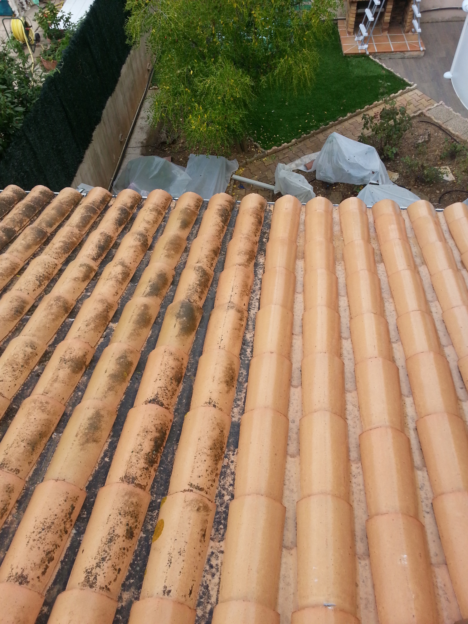 Entretien Toiture : Traitement Des Tuiles