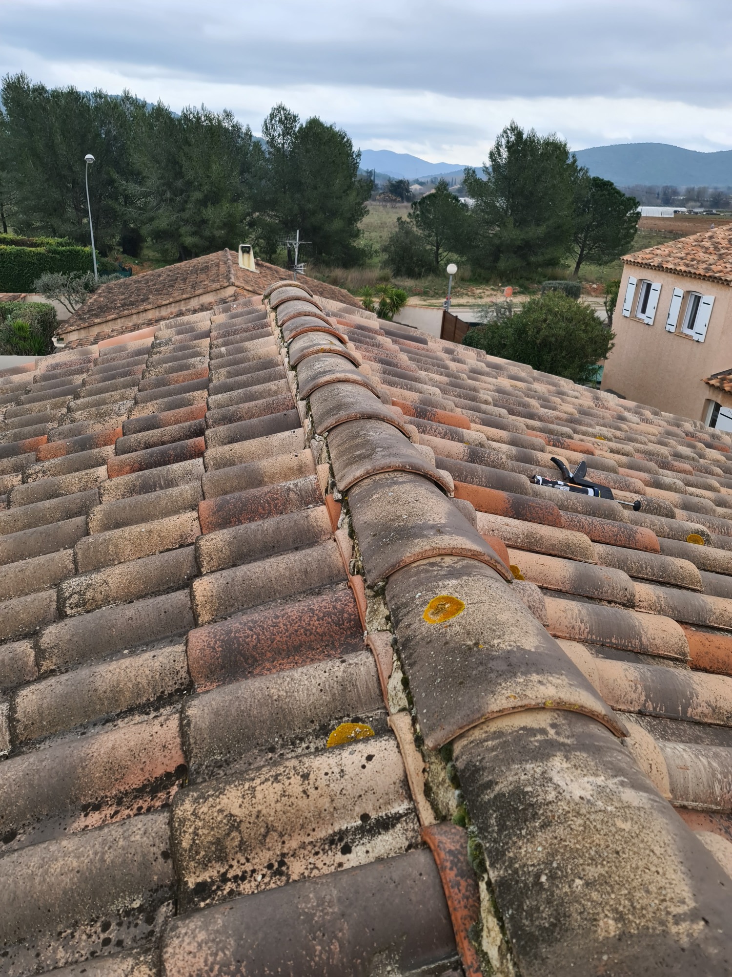 Entretien Toiture : Traitement Des Tuiles