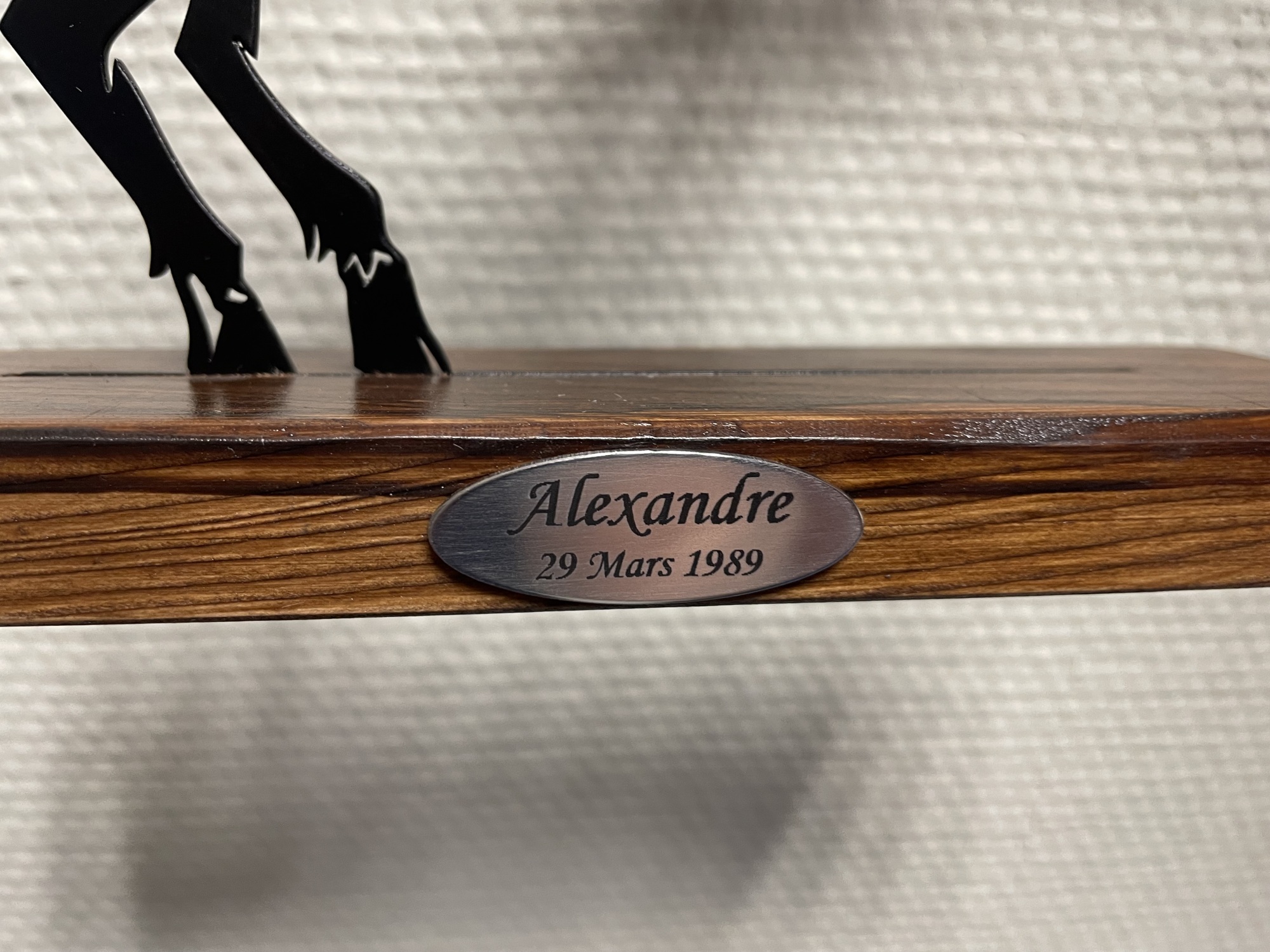 Option plaquette personnalisée pour motif  signes asto (uniquement)