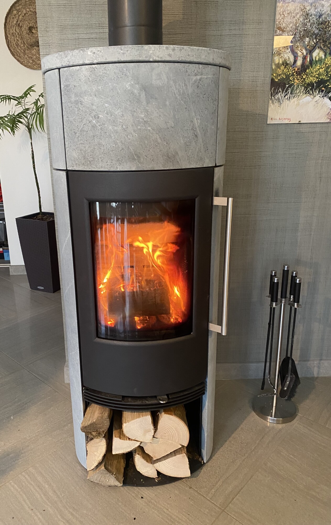 Poêle à bois bûches Thermatech TT21RS-HST