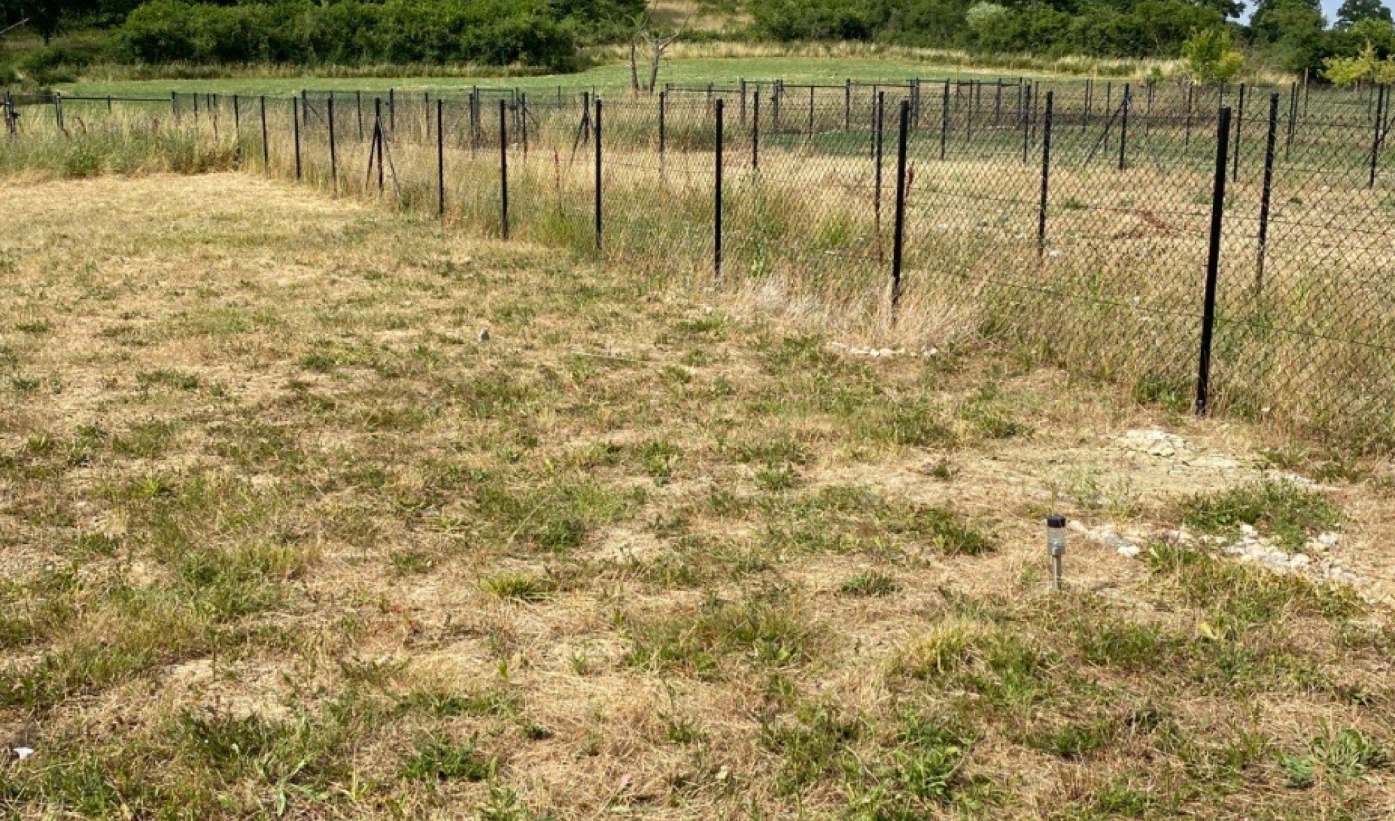 Clôture et gazon placage