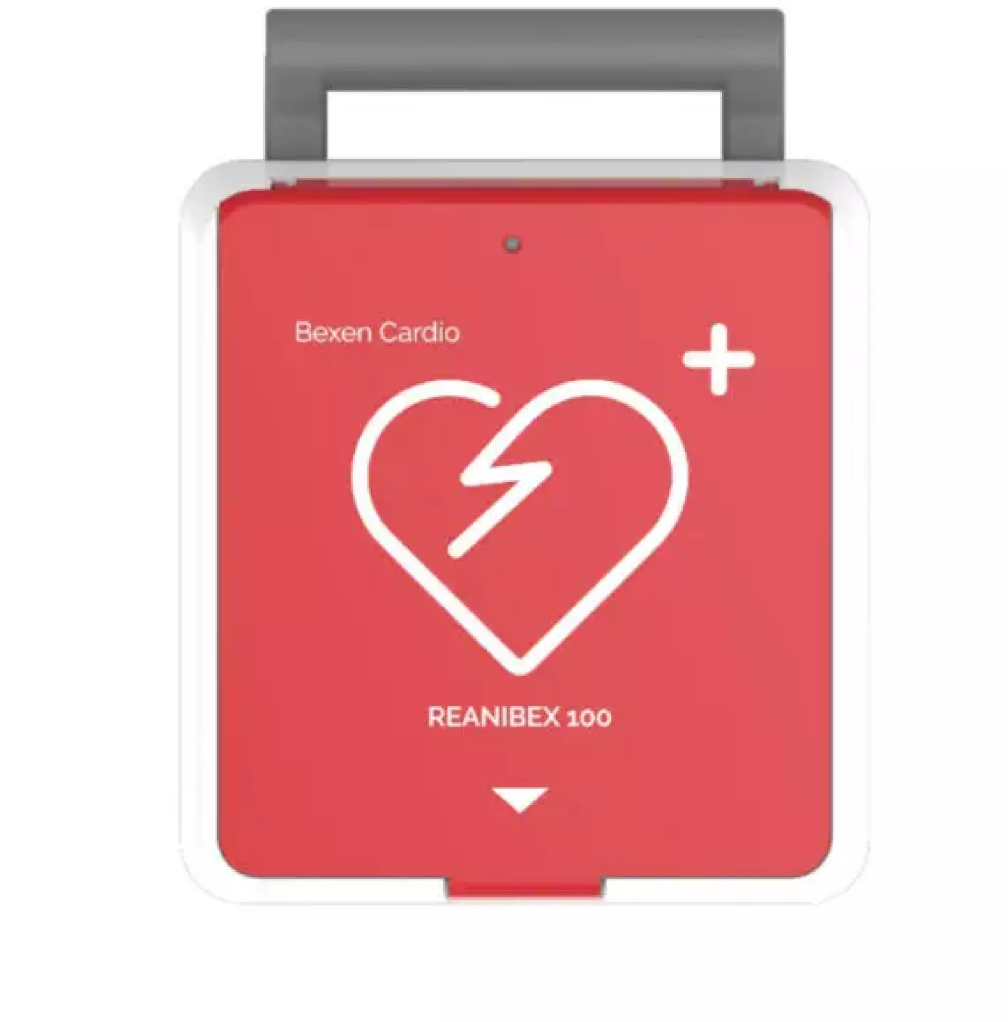 Reanibex 100 Automatique